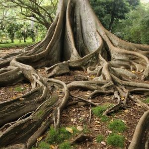 Meet your Posher, Alexa